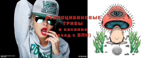 эйфоретик Алзамай