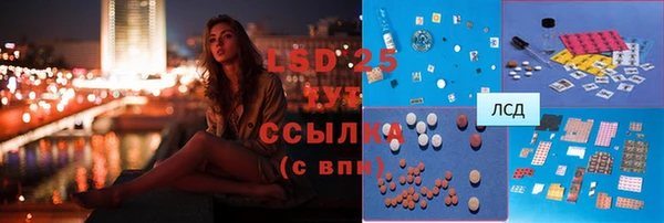 эйфоретик Алзамай