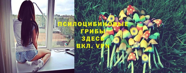 MESCALINE Аркадак