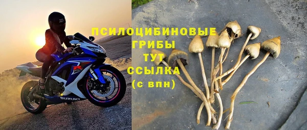 apvp Алексеевка