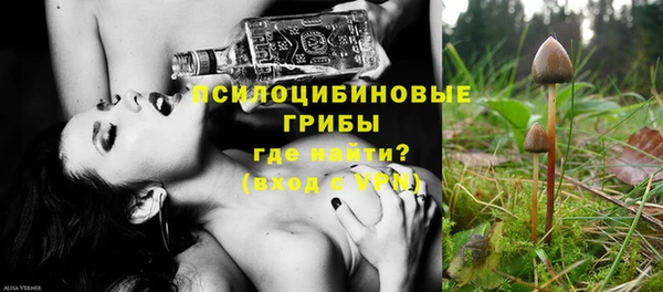 apvp Алексеевка
