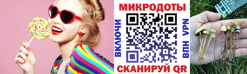 Псилоцибиновые грибы мухоморы  как найти   Аркадак 